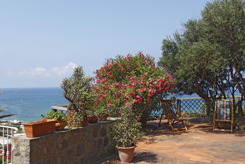 Eremo Di Montevergine Ischia Apartments Forio di Ischia Kültér fotó